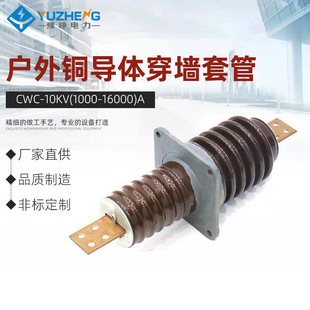 �S��CWC-10KV(1000-16000)A�����~���w�����׹� �~���w�����׹�