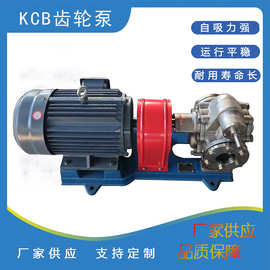 厂家供应KCB-300齿轮泵自吸齿轮油泵润滑油不锈钢泵304材质柴油泵