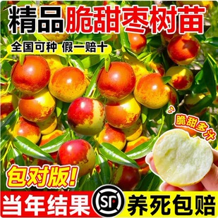 �������޽Ӷ������Թ�����箔��Y�������Ϸ��󗗳����ش�ͥԺ