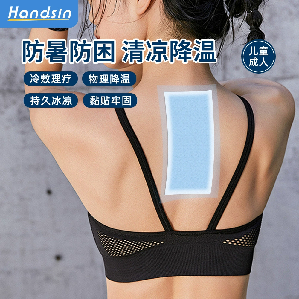 Hansi ледяная наклейка 2 таблетки/мешок