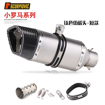 Exhaust pipe spring breeze 250SR Ninja 400 - little-rome-short-titanium-imitation-carbon-head-for-silencer