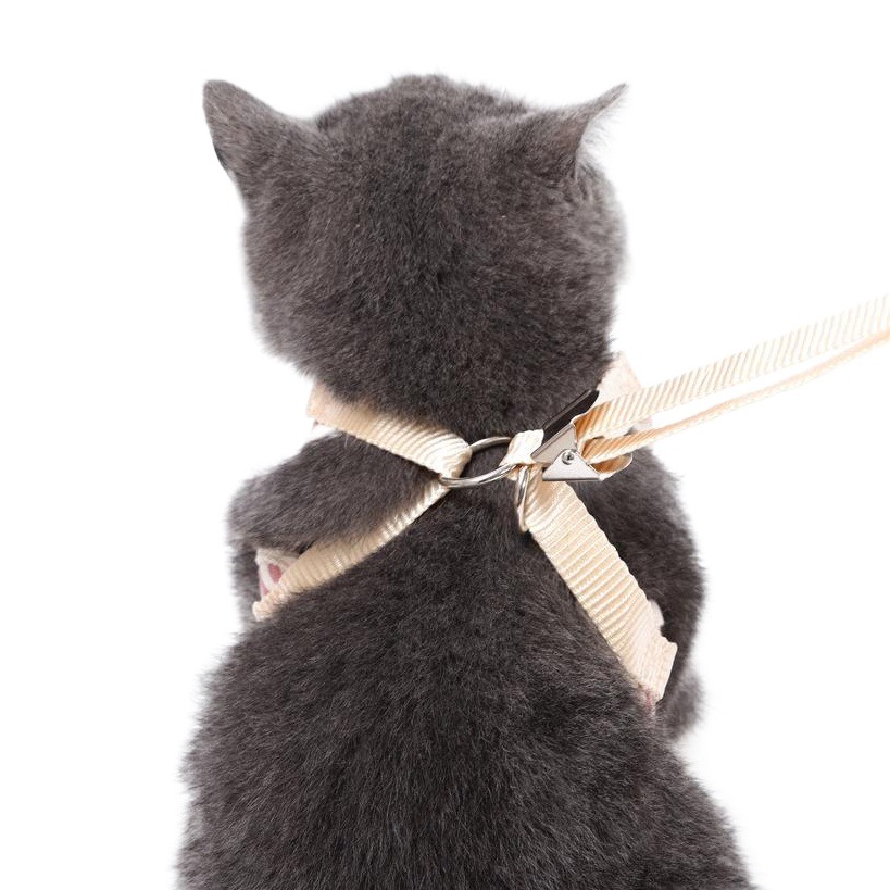 Arnés y Correa para Mascotas Z, Arnés de Cuero con Lazo, Estilo Coreano, Suministros para Gatos, Correa para Gatos al por Mayor