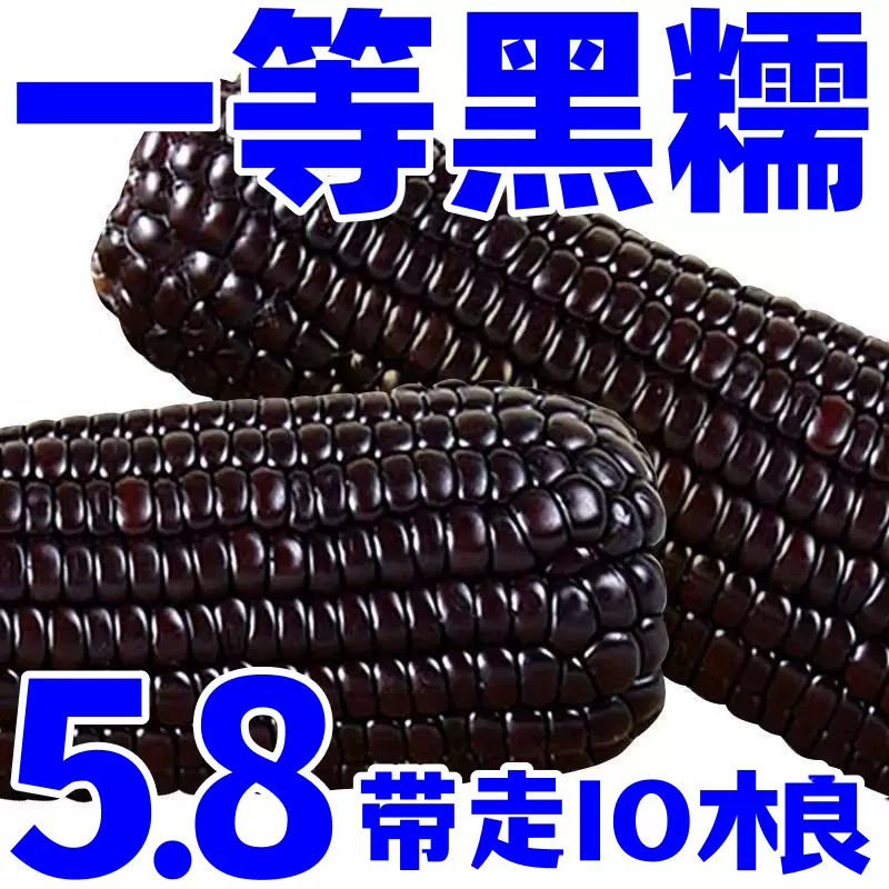 【暢销榜第二】东北黑糯玉米甜糯黑玉米真空包装减脂代餐