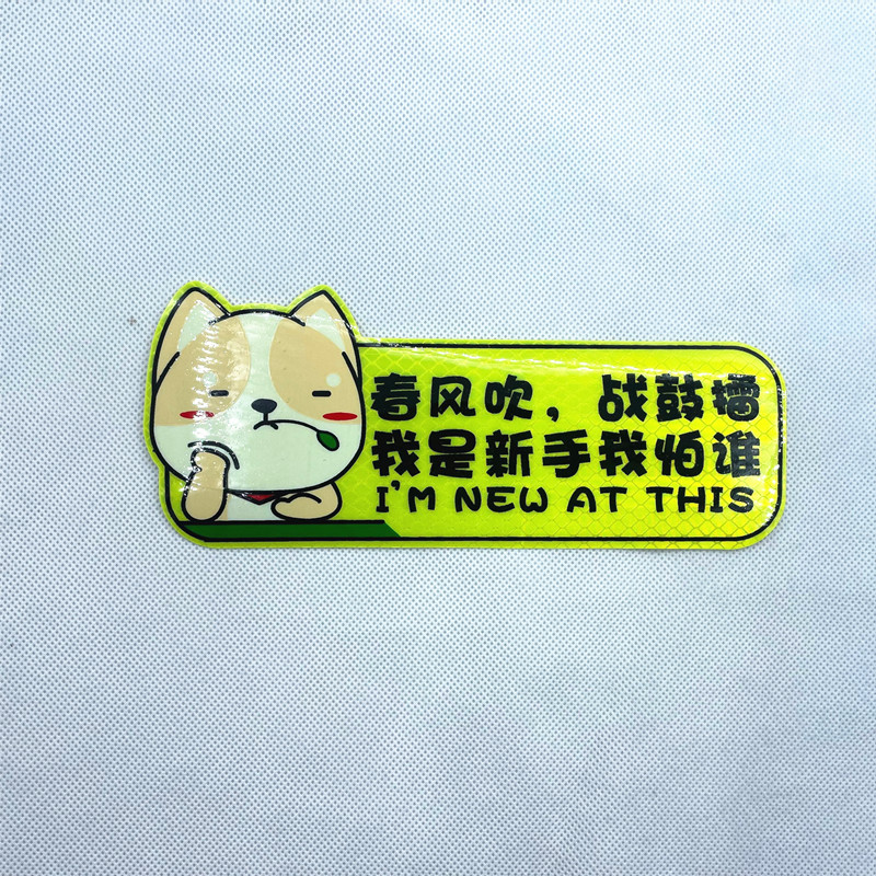 Spring breeze blowing 19*8