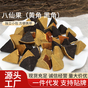 �S�����l���ɹ��خa������Ӆ���������օ������ټt �Ƥ����