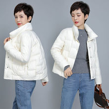 �����q�p����q��Ů�̿�2025�¿�s�������I�r��С�����p������