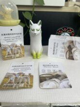 ���ܿ��������ϰ�������ū��ë�w�S����͸���p�ɷ��o늱�ů���b