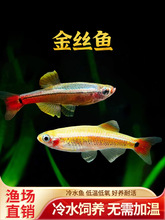 ���ƽ�˿�������˿��󷫽�˿�ݸ�С�͹�����ƿ��㵭ˮ����ˮ��