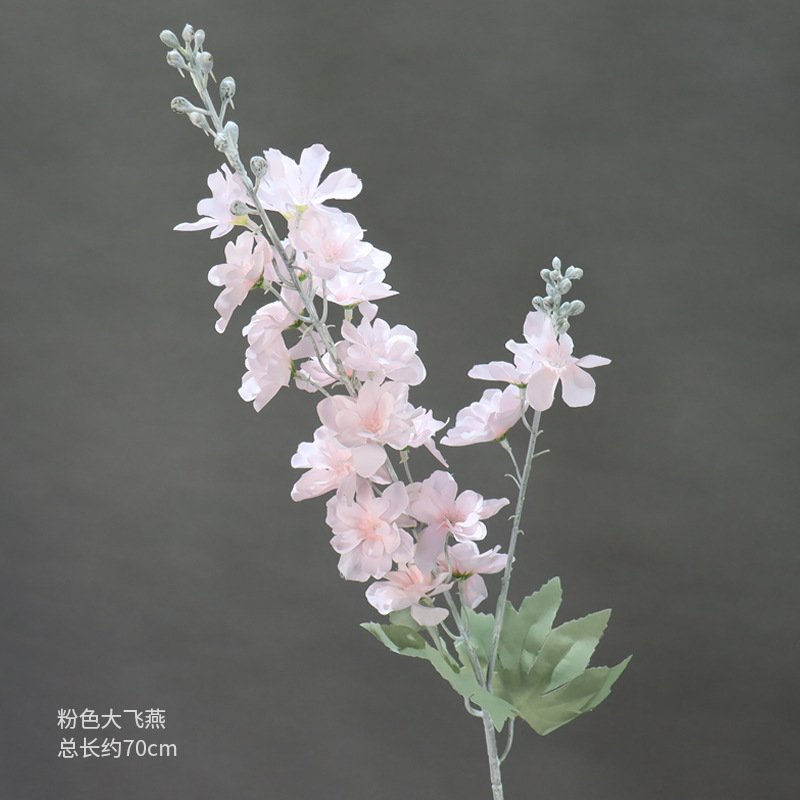 핑크 라지 델피늄