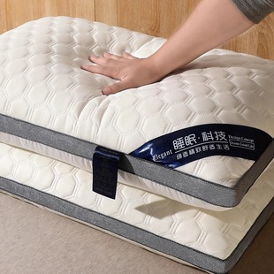 Pillow Neck Pillow Natural Latex Pillow Core Cervical Spine Protection to Help Sleep Household Single Pair Memory Pillow for Male and Female Students