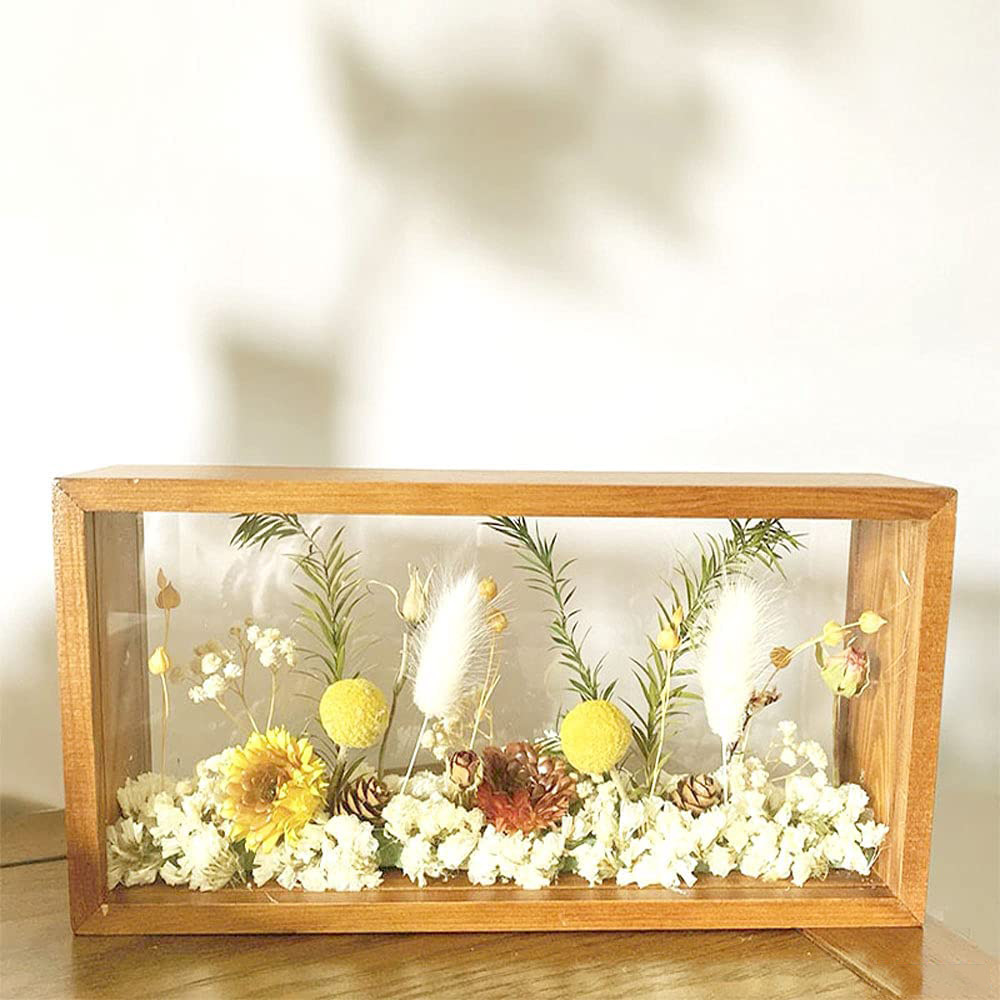 610M0WQNodL._AC_SL1000_