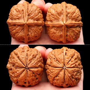 ����������Ұ������ș��С�����αP��Ů�S���ְѼ�Λρ�F�{�Ӽy