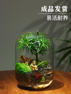 ����֮�䄓��̦�\΢���^ƿ���B�~���B���k���҃���������