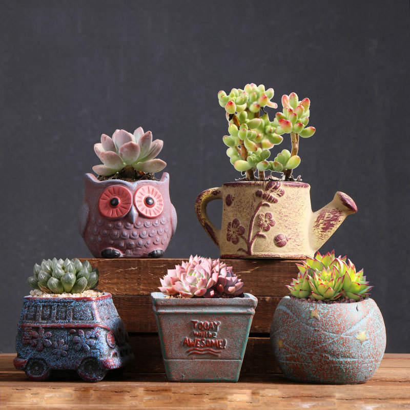 Creativo pulgar pequeño tamaño vintage cerámica suculenta maceta creativa hogar carne olla venta al por mayor ventas directas de la fábrica