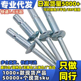 √按包碳钢拉丝铆钉(内锁沉头) 图片错误