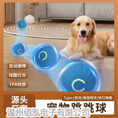 跳ねるボールの犬のペットの知能は自動的に犬のボールの神器のおもちゃをからかいます。