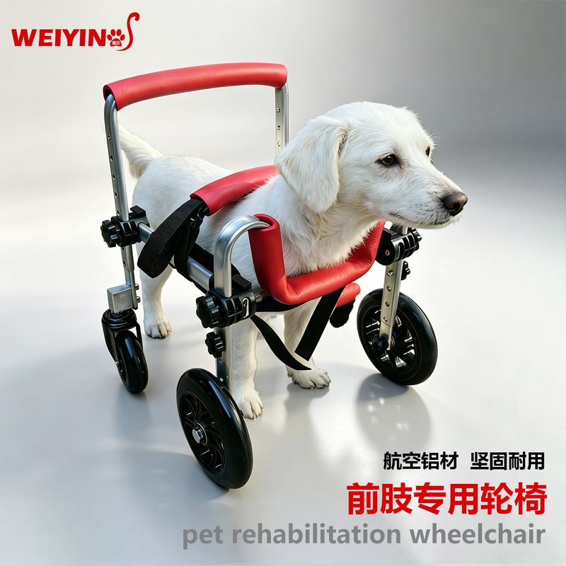 Pet front limb wheelchair, rehabilitation training vehicle for cats and dogs with front limb injuries, front leg standing support, walking aid for elderly dogs