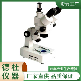 XTL-3300�B�m׃���wҕ�@΢�R