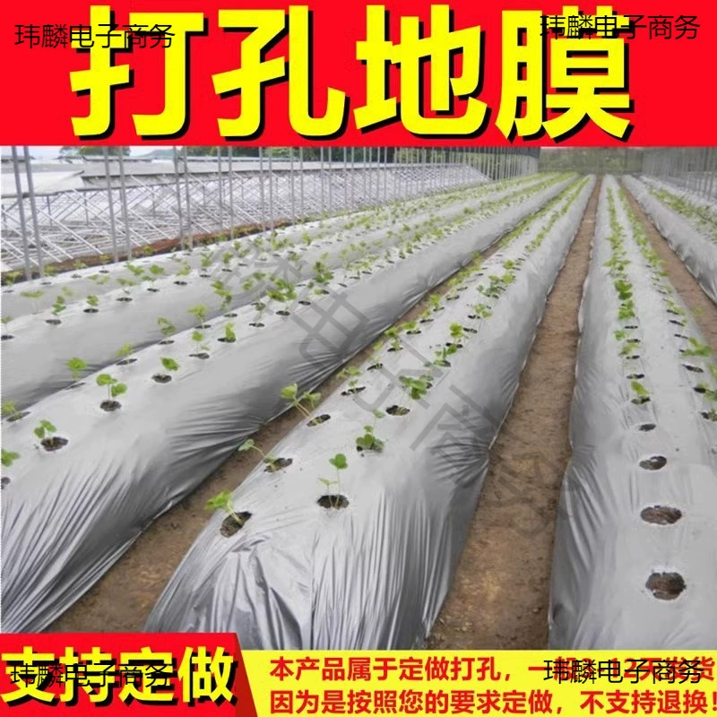 Перфорированная мульчирующая пленка для сельскохозяйственного использования, специально для посадки перца и кукурузы, с отверстиями, серебристо-черная мульчирующая пленка для лекарственных трав, влагозащитная черная пленка.