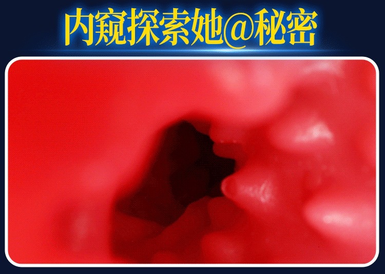 Half-Body Realistic Masturbator with Interactive Suction, Vibration and Voice Interaction — detail image 10