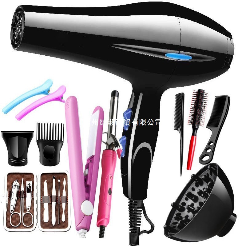 Hair Dryer Hair Salon High Power Barber Shop Household Electric Hot and Cold Hair Dryer Cross-Border European Standard Hair Dryer Factory Direct Sale