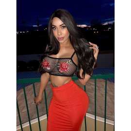 情趣内衣欧美跨境渔网布绣花透视文胸女上装镂空文胸一件代发1470