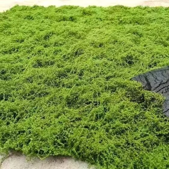 Light green 1 meter * 2 meters long 2 square meters