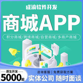 商城app开发物联网教育小程序软件语音交友直播社交app代制作