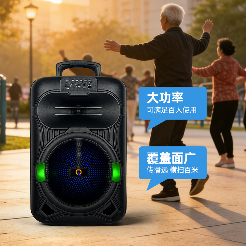 Exportación de altavoces de 8 pulgadas de 8W de altavoces pequeños de altavoz de rendimiento Bluetooth K-canción con micrófono inalámbrico