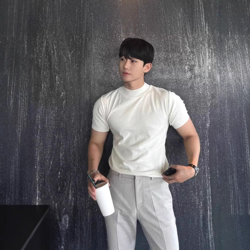 Korean Style Light Luxury Small High Collar T-shirt Men's mercerized cotton ice silk short sleeve sweater cool breathable semi-high collar sweater trendy