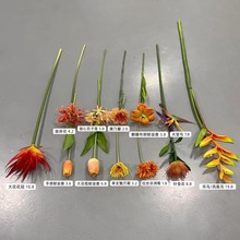 �����ɫϵ�з��滨ϵ�н����c���Ż�ˇ�����m��ʽ�Rȫ���Ľ�ɫ