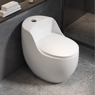 ��ͨ�����RͰ��������ʽ�������RͰ���R����ȫ��ʩ��Toilet�羳WC