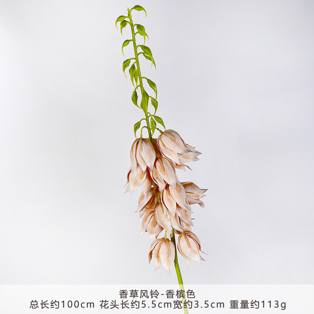 YM2-香草风铃-香槟