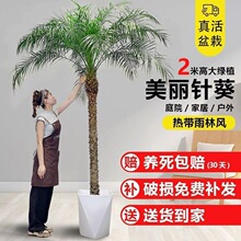 �Ꭷ����ͥԺ�Gֲᘿ��ؙ����҃ȑ��ⱱ�W�L�L��Ҭ�Ә�ֲ�����