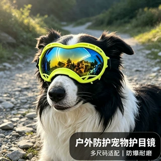 跨境宠物用品批发大型犬护目镜防紫外线耐磨狗狗户外时尚搭配墨镜