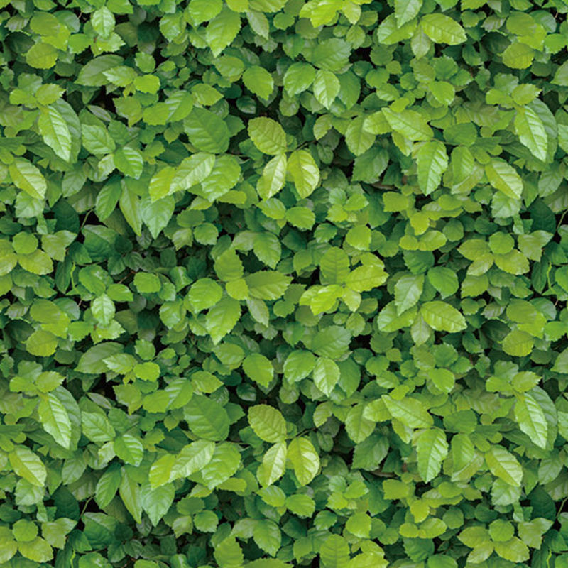 IMG_1244(20220903-093952)