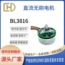 BL3816����ֱ����ˢ��� ��Ť�ص����� ˦֬����Ĥǹר��