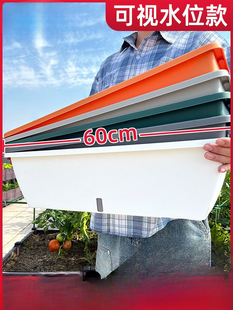 �L���λ����ݮ�Nֲ�������̨�N��������L�l�N���N������L����