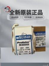 M300069 P300071 Q300072 Y300079 C300083 PROTISTOR�۶���