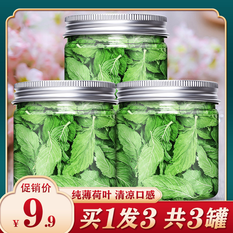 Fresh Mint Leaves for Tea, Cocktails, Dried Tea, Flagship Store Medicinal Chewable Baked Commercial Items for Brewing and Drinking