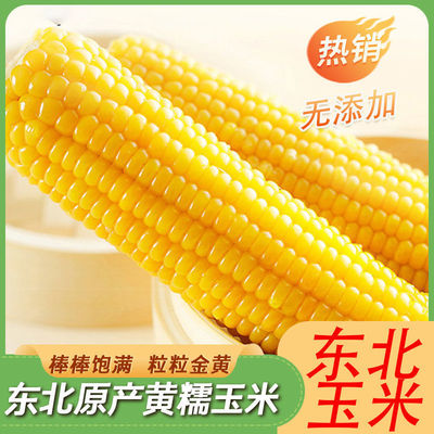 Northeast vacuum packing Waxy maize breakfast Substitute meal Orthodox school precooked and ready to be eaten Fragrant and sweet Corn Corn