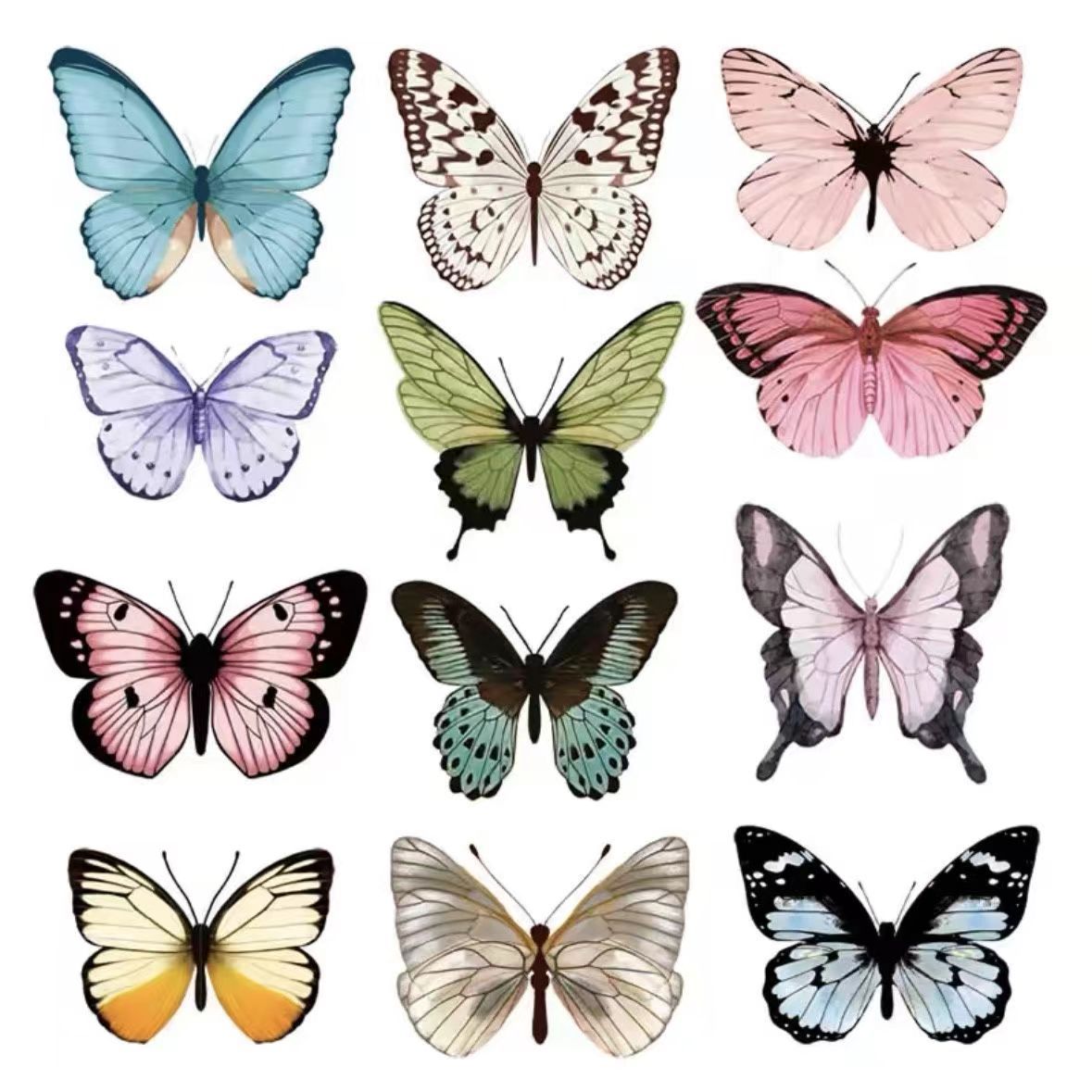 微信图片_202406081531381