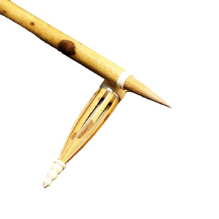 �������������ñ���Ǻ�ë�P�����Ǻ��ӽ����l����������Ʒë�P