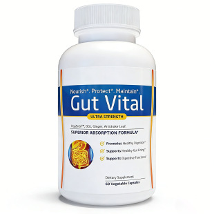 �F؛���]�R�d����վ�羳���N60��Gut Vital�z�ҁ�Դ���S���lֱ�N