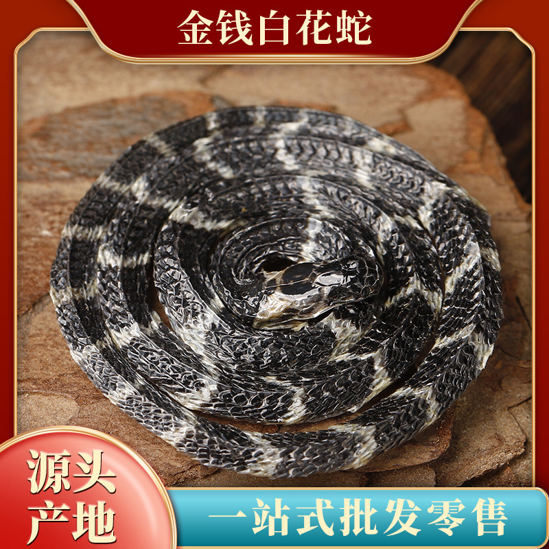 厂家养殖金钱白花蛇【亳州中药材】金钱白花蛇干泡酒料批发代发