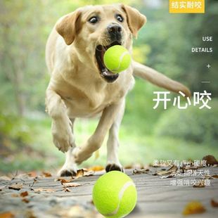Dog Toy Ball Bite-Resistant Puppy Outdoor Ball Large Dog Horse Dog Molar Pet Dog Training Ball