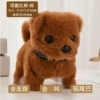 Collar Bichon Brown Battery Style [88.6% of people chose it]