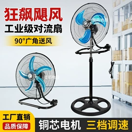 电风扇;露营风扇;对流/循环扇