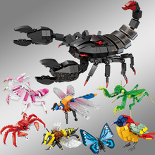 ���x�eľ��ͯƴ�b����к���ϐ��ģ��С�w����������ƴ�D�Y��羳