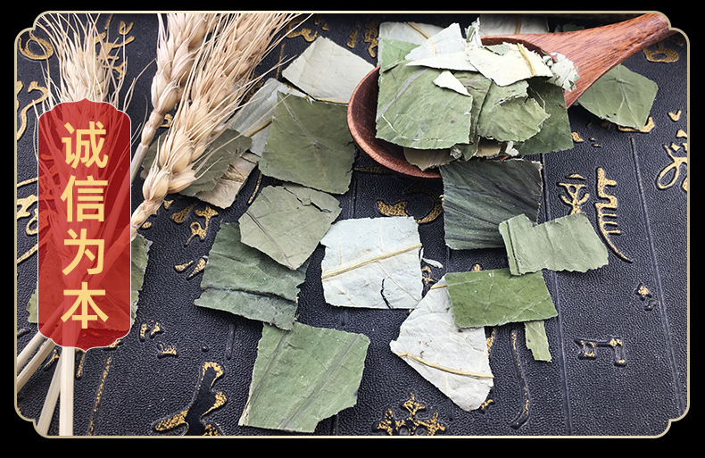 Dried Lysimachia Jin Qian Cao Loose Herb Bulk Large Leaf Gold Coin Grass Traditional Herbal Tea and Decoction Ingredient 500g in use